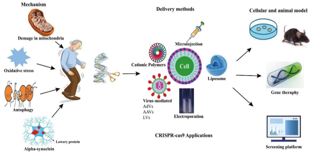 CRISPR-Cas9 Cure Disease Potential: Gene Editing's Potential